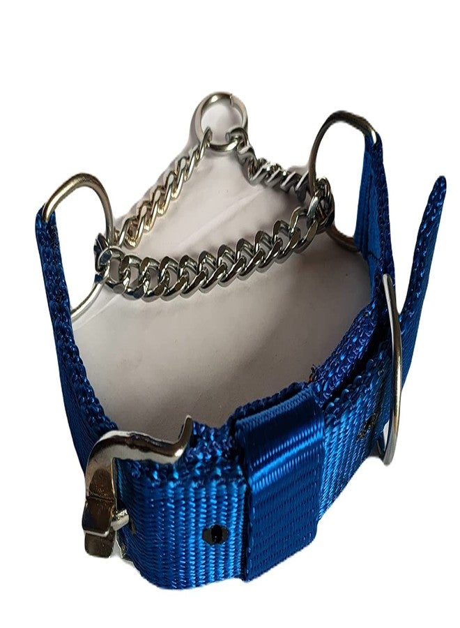 Pups&Pets طوق خنق متين وثقيل الوزن للكلاب من Pups&Pets، طوق نصف سلسلة من النايلون، طوق نصف خانق من الفولاذ المقاوم للصدأ، مقاس 1.25 بوصة كبير جدًا للكلاب العملاقة والكبيرة (أزرق). - Image 2